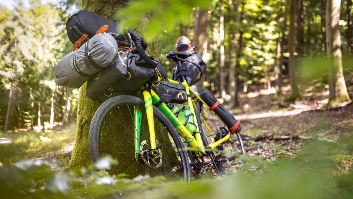 À propos Green bikepacking bicycle with gear resting against a tree in a lush forest.